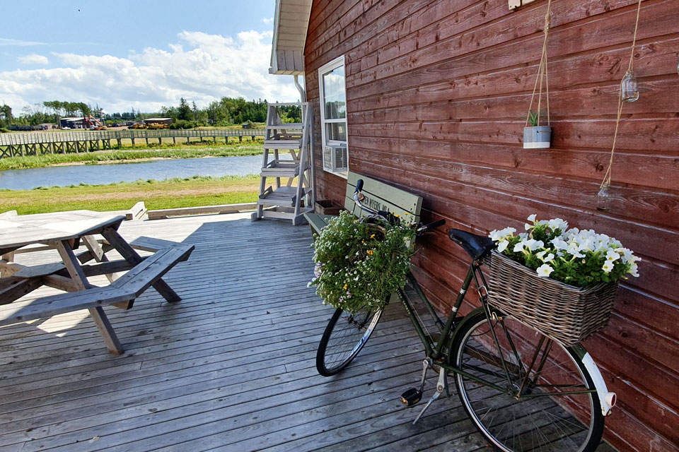 Bicycle on terrace of a chalet